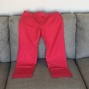 Ann Taylor Capri pants
